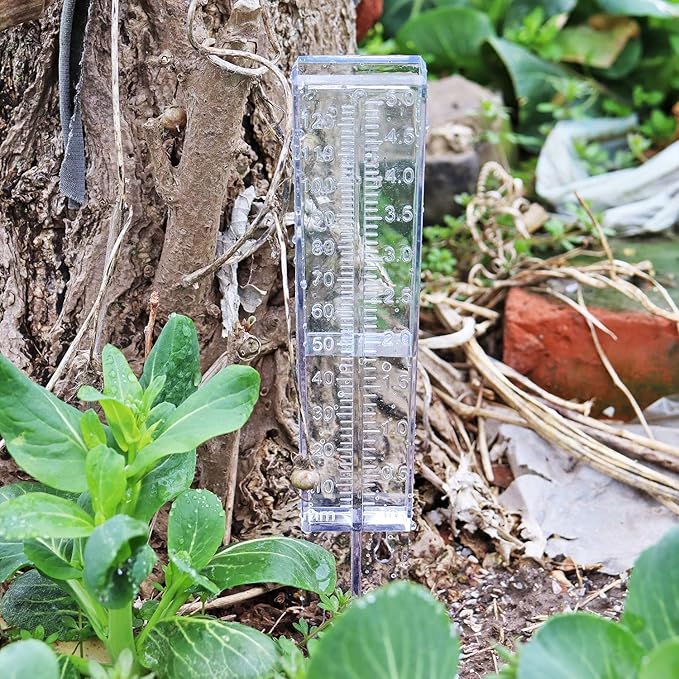 Rain Gauge 2 Pack-Plastic Home Clear Rain Water Meter for Lawn Yard Garden Outdoor Home (Pack of 2)