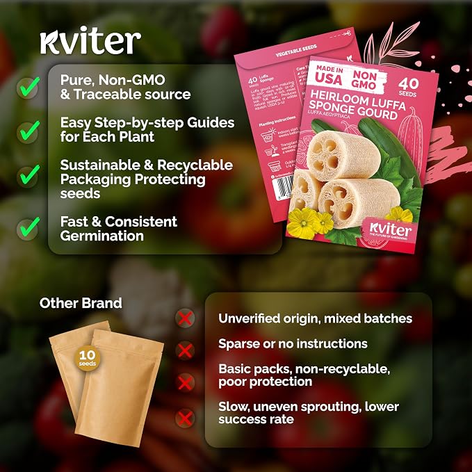 KVITER 40 Luffa Seeds (Luffa Aegyptiaca) – Loofa, Loofah Sponge Gourd Heirloom Seeds, Ideal Non GMO & Natural Sponge – Loofah Seed for Planting from USA to Grow in Your Home Vegetable Garden