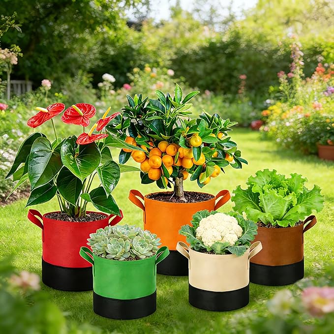 3 Gallon Fabric Grow Bags 5-Pack, 350G Heavy Duty Nonwoven Fabric Pots with Handles, Breathable Grow Planter for Vegetables Flowers Indoor Outdoor Gardening