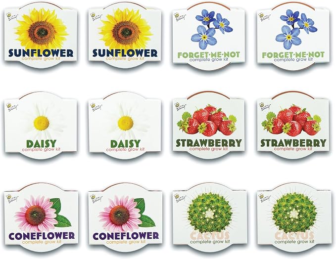 BUZZY Seeds Mini Terracotta Grow Kit, Assorted 12-Pack - Mini Terracotta Pot Grow Set - 100% Grow Guarantee