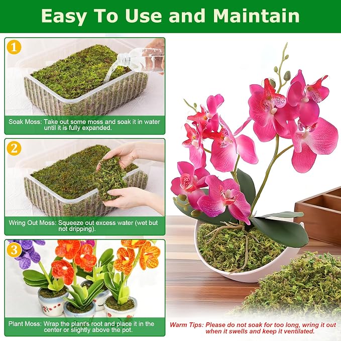 Legigo 7OZ Sphagnum Moss for Plants, 10QT Natural Orchid Moss Potting Mix Dried, Green Forest Plant Moss for Orchid Repotting Carnivorous Succulents Indoor Potted Plants Gardening and Reptiles