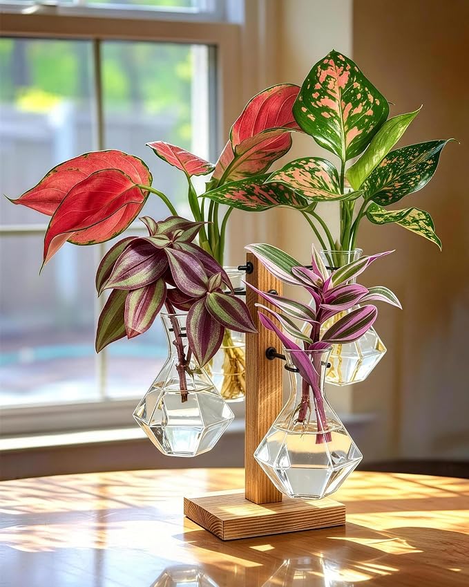 Plant Propagation Stations with Wood Stand, Plant Terrarium for Home Office Garden Decor, Gardening Gifts for Plant Lovers, 4 Glass Propagation Vases (Diamond Shape)