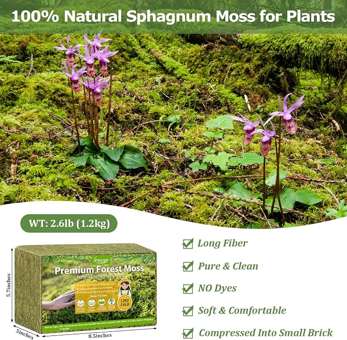 Legigo 2.6LBS Sphagnum Moss for Plants, 50QT Natural Orchid Moss Potting Mix Dried, Green Forest Plant Moss for Orchid Repotting Carnivorous Succulents Indoor Potted Plants Gardening and Reptiles