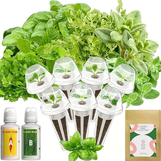 inbloom Hydroponics Herb Seed Pod Kit for AeroGarden, iDoo, Ahopegarden, GARDENCUBE, 7 Pods (350+ Herb Seeds with Basil, Parsley, Mint, Cilantro, Savory, Thyme and Oregano)