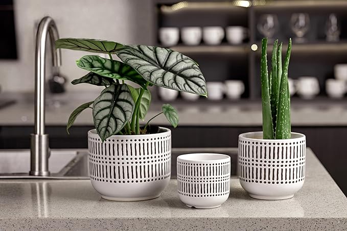Docrin 3-Pack Ceramic Plant pots Set - 6.5"+5.3"+4" Dual-Tone Flower Pots with Drainage Holes, Modern Indoor Outdoor Planters for Succulents/Herbs/Large Plants, Home Office (Brownish Black & White)