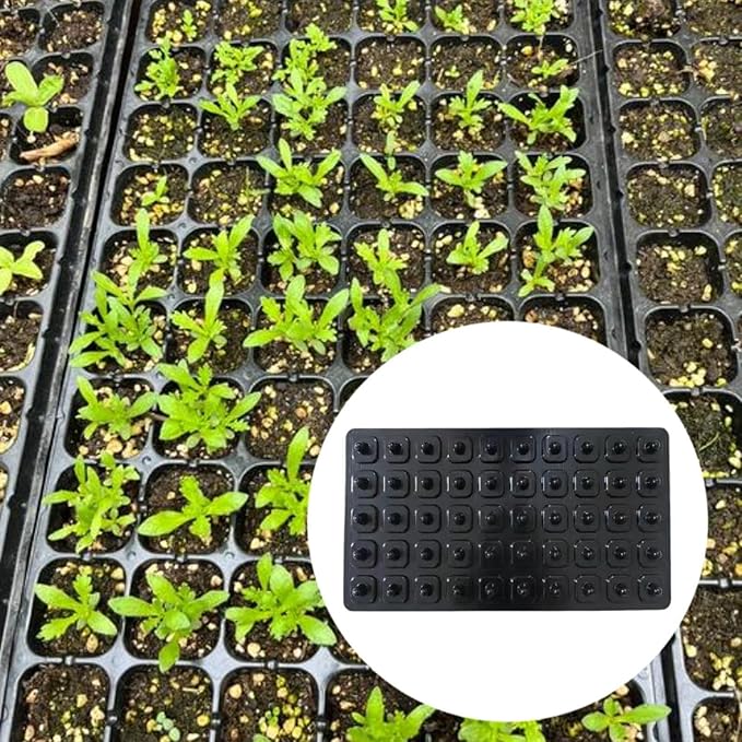 Seed Dibber Seedling Tray Tool Labor Saving Gardener Gift with Handle Garden Tool Quickly Setting Out Seed Spacer Soil Digger 50 Hole(50 Hole)