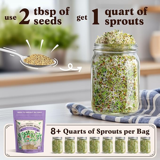 Seedboy Organic Non-GMO Alfalfa Seeds for Sprouting - Microgreens Sprouting Seeds - 8 oz Bag Makes 8 Quarts / 32 Servings (Alfalfa)