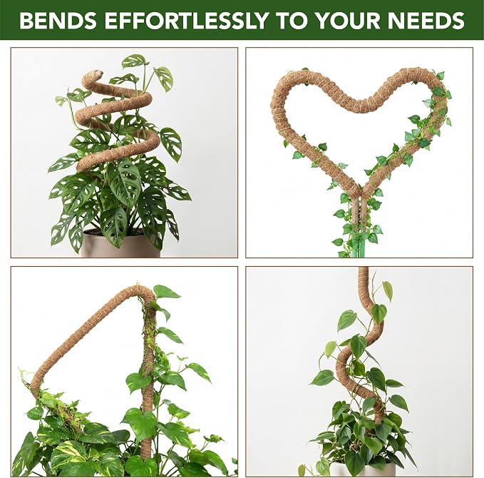 UNCO- Bendable Moss Pole Monstera Plant Support, 48 Inch, 2 Pack, 10 Feet Plant Ties, Moss Poles for Climbing Plants and Monstera Trellis