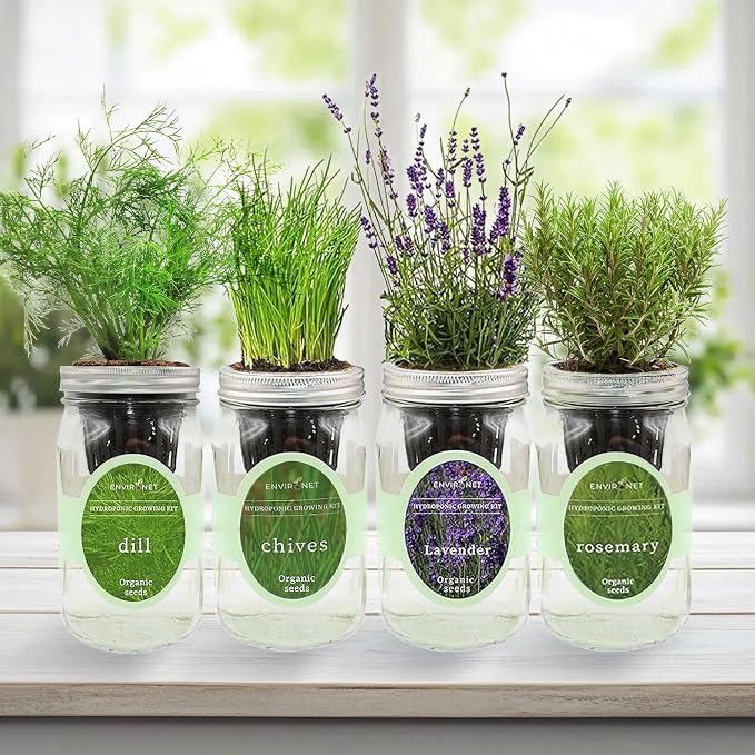 Rosemary, Lavender, Dill & Chives Mason Jar Herb Garden Kit, Aromatic Savory Herb Collection, 4 Pack Indoor Hydroponic Growing Kit