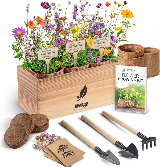 AVERGO Wildflower Seed Mix Growing Kit - Perennial Wild Flowers | Ideal Gift - Also Includes Planters, Soil, Wooden Box, and Gardening Tools for Indoor Garden and Patio Planting