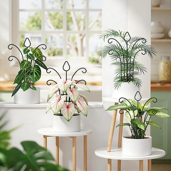 4 Pack Metal Small Plant Trellis for Potted Plants，Metal Indoor Plant Trellis for Climbing Plants，Black Mini Trellis Support with 5-Prong Base & 50 Ties, for Pothos Hoya Ivy, Gift for Plant Lovers