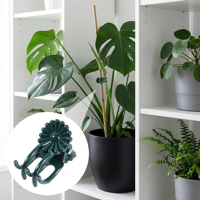 OIIKI 100pcs Orchid Clips for Plants Support, Plant Orchid Support Clips, Vine Tools Supports for Garden Climbing Stems Vines Climbing Plants- Dark Green