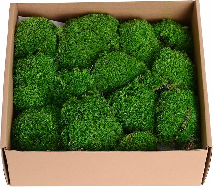 1.5 Sq. Ft. Preserved Moss Pole Decorative Moss for Crafts, Art, Wall Decor,Dark Green