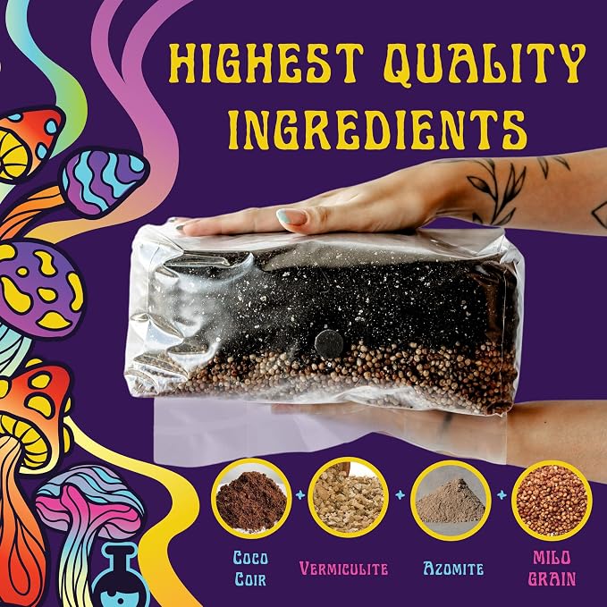 SPORE SORCERY 6 LB All-in-One Mushroom Grow Bag: Up to 48oz of Mushrooms! Nutrient-Enhanced, Injection Port, Just Add Your Own Spores & Grow Like Magic (6 LB Bag)