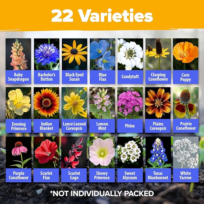 HOME GROWN Texas Wildflower Seeds Bulk Mix | 131,200+ Pure USA Grown Perennial Flower Seed for Planting | 22 Varieties for Birds & Butterflies Garden | 3 oz