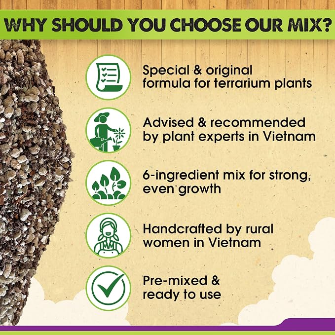 DUSPRO Premium 6in1 Terrarium Soil Mix – Pre-Mixed Terrarium Substrate Mix for Terrariums, Balanced Moisture Growing Medium with Coco Coir, Peat Moss, Pine Bark, Perlite, Pumice & Zeolite 4QRT