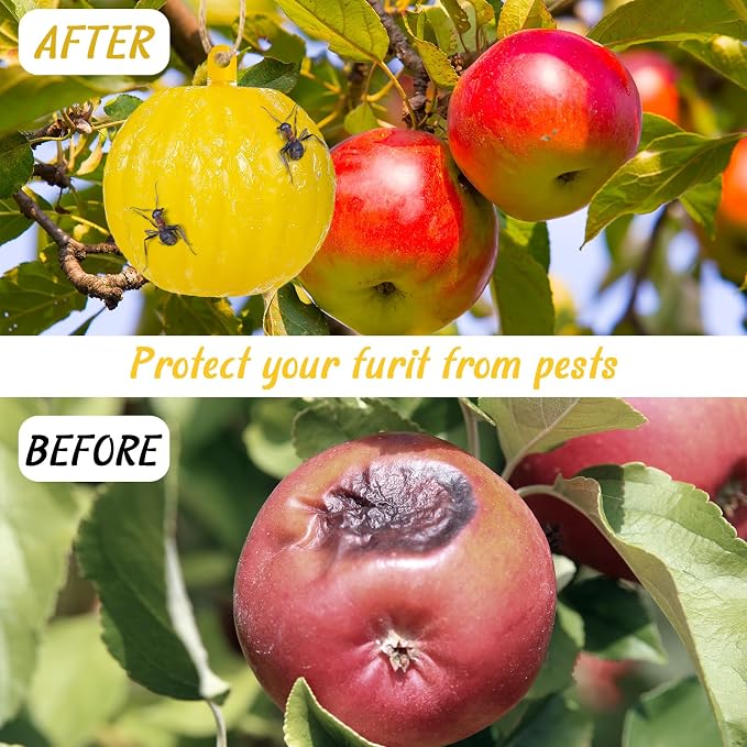 Qualirey 10 Set Sticky Fruit Fly Trap Balls Yellow Adhesive Fungus Gnat Sticky Balls for Plants Fly Catching Sticky Balls Indoor Outdoor Garden Kitchen Fly Gnat Flying Insects Trap Ball Traps