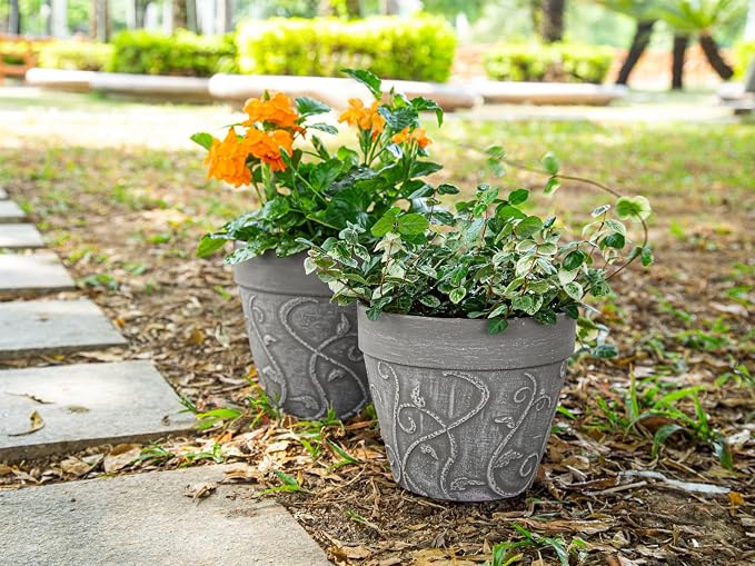 Melphoe Plant Pots Indoor with Drainage & Saucer, 2Pack 8 inch Flower Pots Outdoor Planters for Indoor Plants Garden Home Decor Cactus Succulent, Rigid Plastic (Imitation-Terracotta) Vine-Embossed