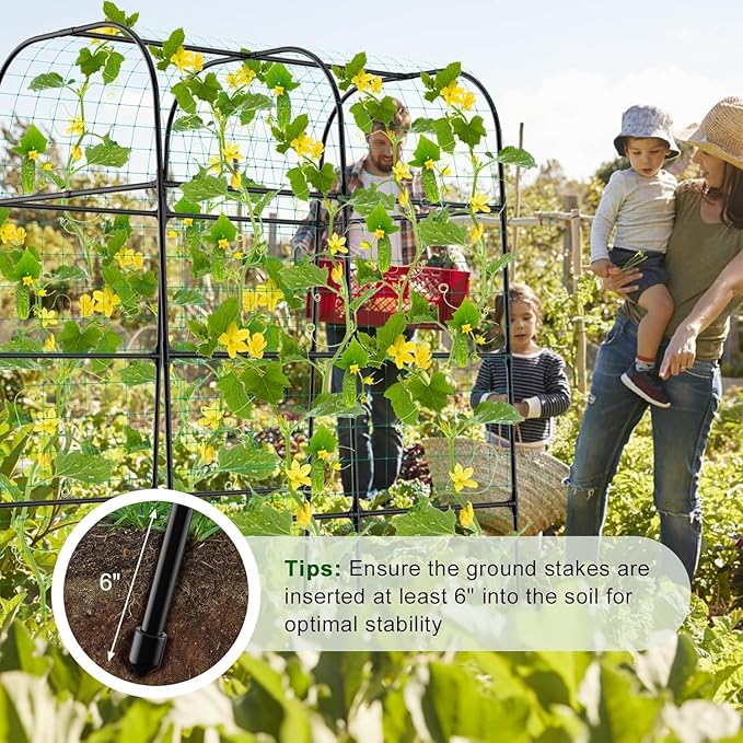 7.3FT Cucumber Trellis for Raised Bed, Garden Arch Trellis with Net, Rustproof Metal Plant Support for Climbing Plants Outdoor, Tomato Zucchini Squash Bean Pea Melon Vine, Rose Flower Garden Arbor