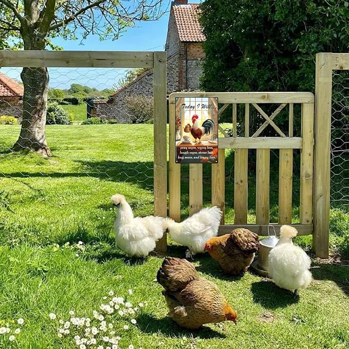Funny Chicken Sign Today I Will Chicken Metal Tin Sign Wall Decor for Farmhouse Home Kitchen Bar Yard Porch 12×8 Inch