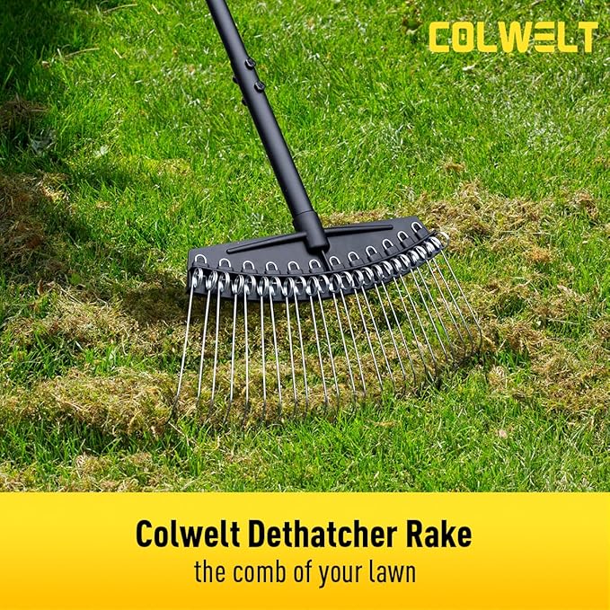 Colwelt Thatch Rake, Dethatcher Rake with Thin, Curved Spring Steel Tines, Dethatching Thatching Rake for Lawns with 61’’ Steel Handle, Lawn Tine Rakes for Pine Needles, Dead Grass, Garden Debris