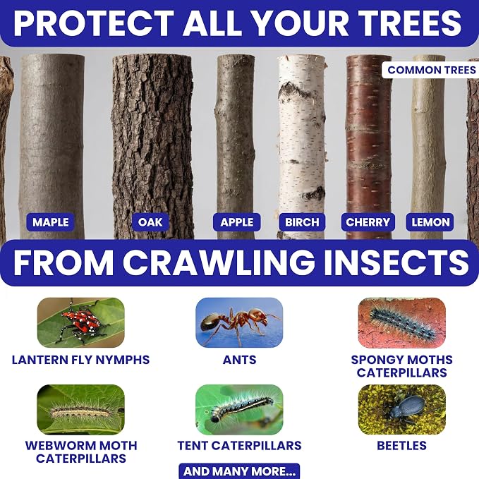 Spotted Lantern Fly Trap for Trees. 3 Sticky Fly Paper Rolls with Pins and Egg Scraper. Bug Tree Tape Wrap Ant Barrier Spotted Lanternfly Killer. Lantern Flies Tape for Trees Glue Insect Barrier