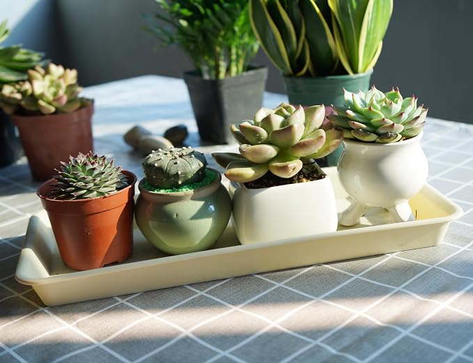 VUWEZ 2 Pack Plastic Plant Tray Saucer - Rectangular, 16 inch, Indoor/Outdoor, Drip Tray for Flower Pot, Windowsill (7.0 x 16.1'', Beige)