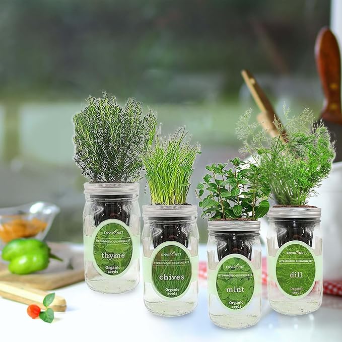 Mint, Chives, Thyme & Dill Mason Jar Herb Garden Kit, Fresh Savory Herb Collection, 4 Pack Indoor Hydroponic Growing Kit