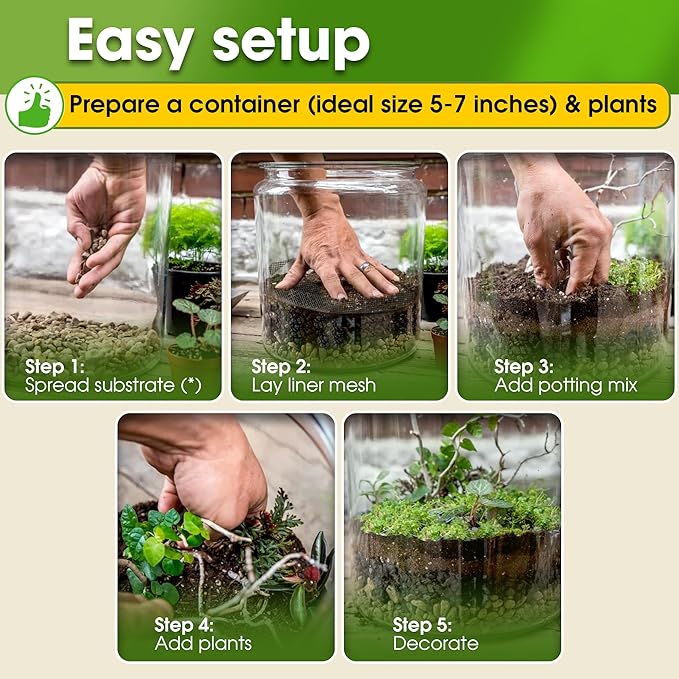 DUSPRO Terrarium Kit, Include Potting Soil, Pumice, Zeolite, Green Moss, Sphagnum Moss, Decorative Stone, Mesh, Tools, DIY Terrarium Kit for Kids, Air Plant, Succulent