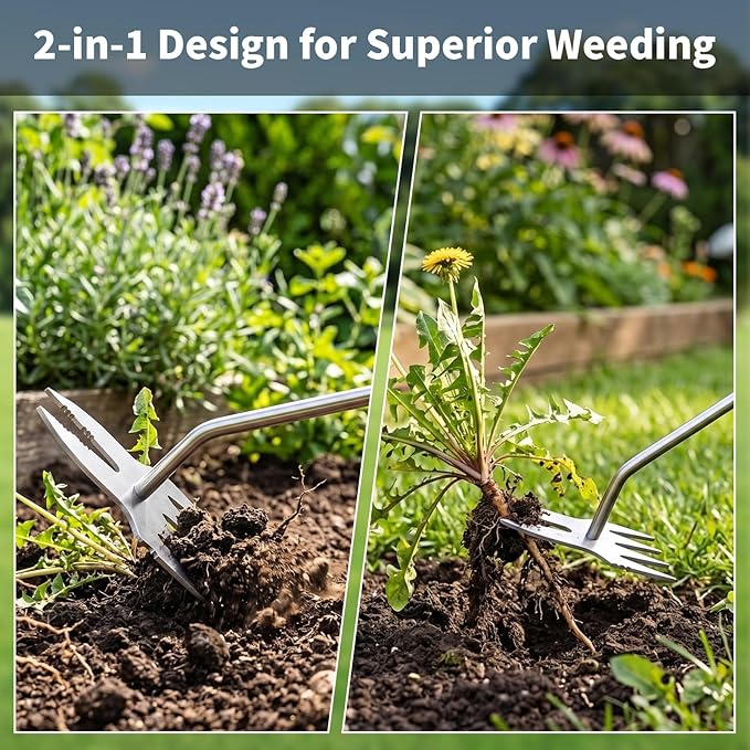 Hand Weeder Tool, Heavy Duty Stainless Steel Garden Weed Puller with 4-Tine & Root Removal Fork, Deep Root Weed Remover for Dandelion, Crabgrass & Thistle, Weeding Tool for Lawn Yard Farm (Orange)