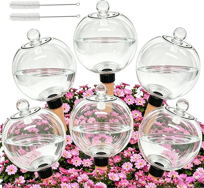 6 Pack 26 oz Extra Large Self Watering Globes with 2 Brushes, Top Fill Plastic Water Bulbs with Slow Release Terracotta Planter Insert, Automatic Plant Water Spikes Stakes for Indoor Outdoor Plants