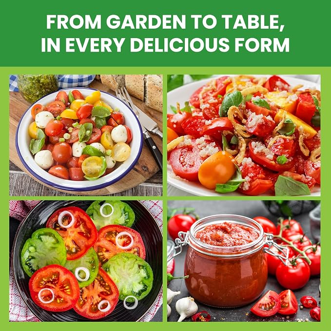 10 Pack Tomato Seeds Variety Pack -5000+ Garden Tomato Seeds for Planting Outdoors & Indoor Home Gardening Gift, Roma, Chreey Tomatoes & More