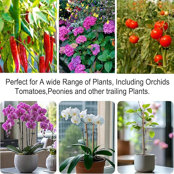 Plants Orchid Support Clips Plant Clips Orchid Clips Flower Vine Clips for Supporting Stems Vines Stalks Climbing Plant Grow Upright 50PCS