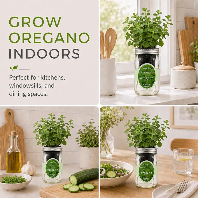 Hydroponic Herb Growing Kit, Self-Watering Mason Jar Herb Garden Starter Kit Indoor, Grow Your Own Herbs from Organic Seeds (Oregano)