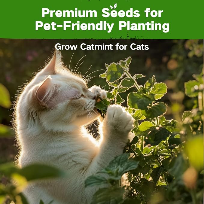 Lush&Dew Pet-Friendly Heirloom Seed Bank, Gardening Gifts for Women Men, 16 Varieties 15,000+ Non-GMO Seeds for Planting Herbs Flowers Vegetables in Raised Bed Windowsill, Annuals & Perennials