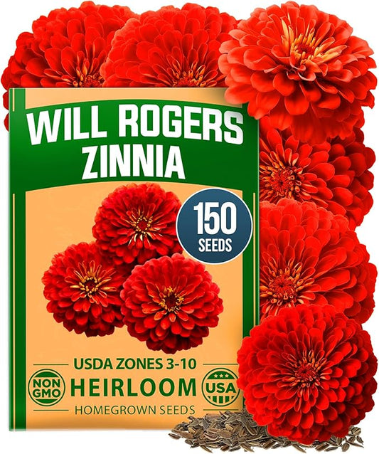 HOME GROWN Will Rogers Zinnia Seeds - 150 Zinnia Flower Seeds for Planting Outdoors - Tall Zinnia Elegans Cut Flowers - Heirloom Non-GMO Zinnia Seeds for 2026