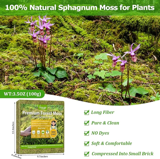 Legigo 3.5OZ Sphagnum Moss for Plants, 4QT Natural Orchid Moss Potting Mix Dried, Green Forest Plant Moss for Orchid Repotting Carnivorous Succulents Indoor Potted Plants Gardening and Reptiles