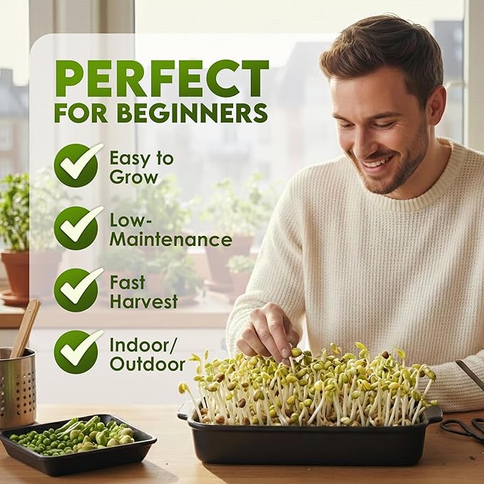 Nature Jims Sprouts Mung Bean Sprouting Seeds – Non-GMO Mung Beans for Growing Nutritious, Fresh Sprouts – Packed with Vitamins, Minerals & Fiber – Premium Resealable Bag for Longer Freshness – 16 Oz