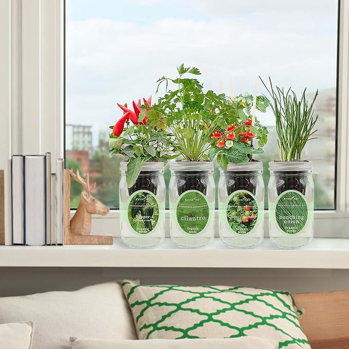 Hydroponic Mason Jar Indoor Garden Organic Seed Starter Kits - Zesty Salsa Growing Kits, Gardening Gift (Jalapeno Pepper, Cilantro, Cherry Tomato - Tiny Tim, Bunching Onion)