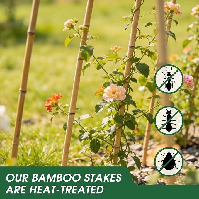 3 Pack A-Frame Bamboo Trellis 47''x15.5'', Oltara Foldable Garden Trellis for Outdoor Climbing Plants, Cucumbers, Raised Beds, Tomatoes, Beans, Peas, Vegetables, Flowers Support