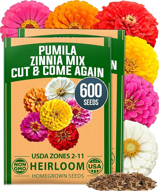 HOME GROWN Dwarf Zinnia Seeds Mix - 600 Pumila Zinnia Seeds for 2026 (0.6g) | Zinnia Flower Seeds for Planting Outdoors | Colorful Cut Annual Flowers for Summer Gardens & Containers (Zinnia elegans)