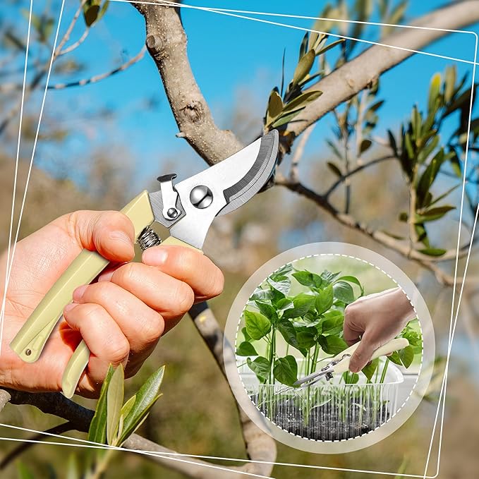 Chumia 6 Pcs Garden Pruning Shears Flower Scissors Handheld Heavy Duty Garden Shears Stainless Steel Clippers for Cutting Flowers, Tree Trimming, Gardening Gifts(Beige)