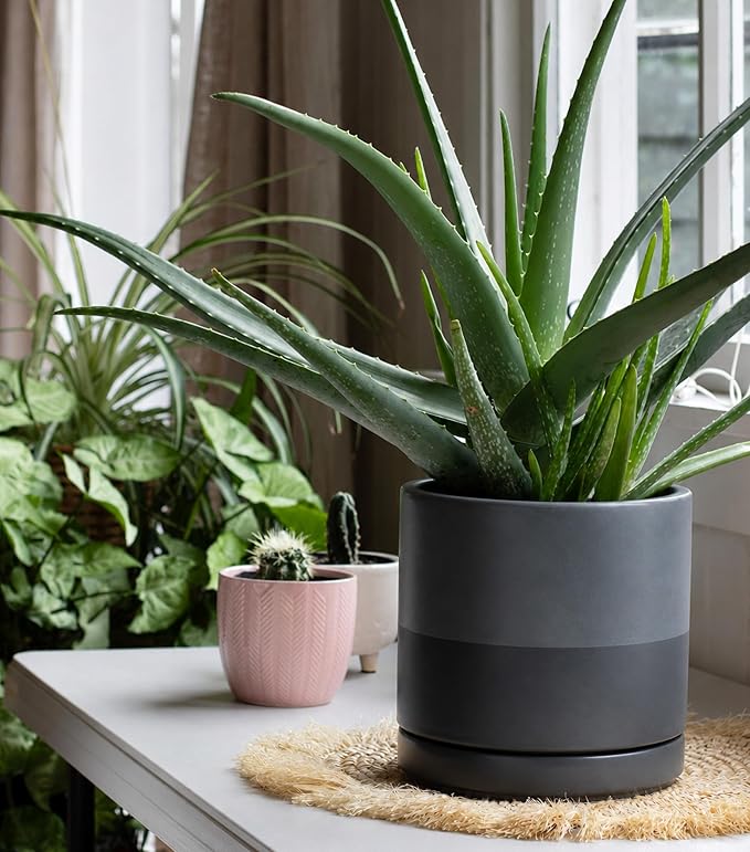D'vine Dev 8 Inch Ceramic Planter Pot with Drainage Hole and Saucer, Indoor Cylinder Round Planter Pot, Slate, 94-O-D-5