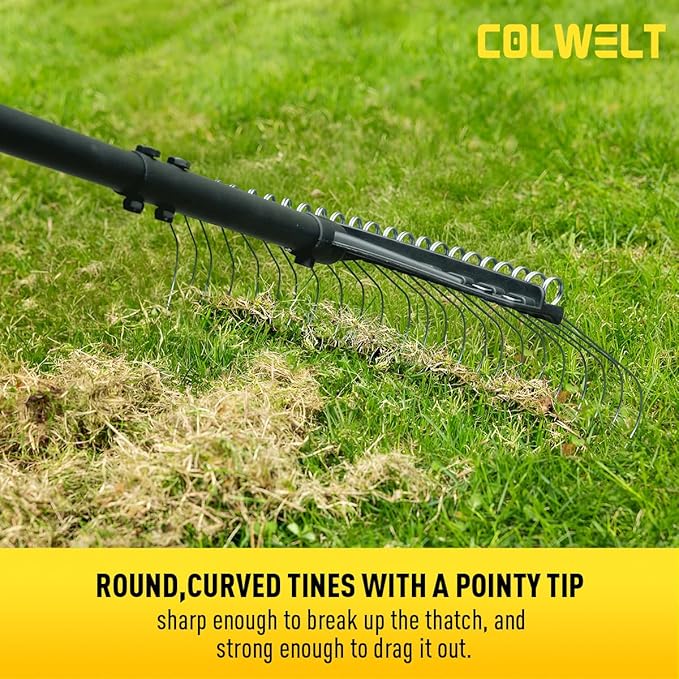 Colwelt Thatch Rake, Dethatcher Rake with Thin, Curved Spring Steel Tines, Dethatching Thatching Rake for Lawns with 61’’ Steel Handle, Lawn Tine Rakes for Pine Needles, Dead Grass, Garden Debris