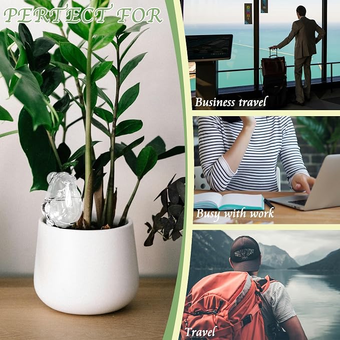 2 Pack Self Watering Spikes, Indoor Plant Watering Globes, Frog Shape Automatic Irrigation Spikes,Plant Watering Devices(Transparent)