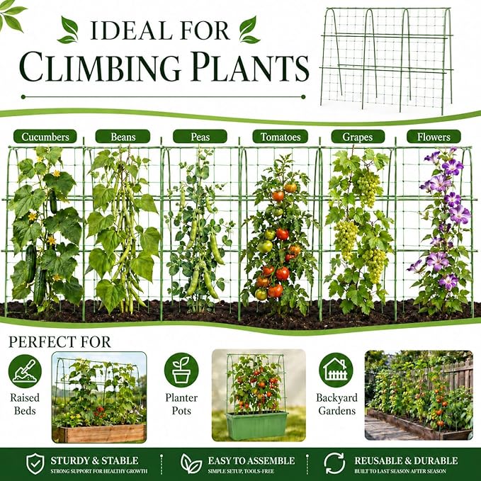 Outdoor Metal Arch Trellis, U Shape Garden Trellis for Climbing Plants, Pea, Vegetable and Grape Vine Support Frame for Raised Beds, Planter Pots, Patio and Yard, Adjustable Width, Green
