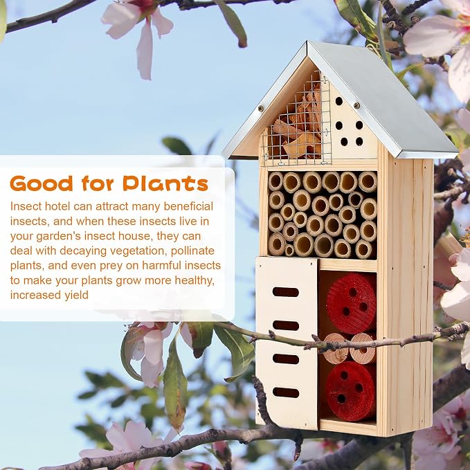 Maitys 3 Pcs Wooden Mason Insect Bee Hotel Butterfly House Natural Ladybug House Bug Hotel for Garden Outdoor Butterfly Ladybugs Live Bee Box Attracts Pollinators, 10 x 5.5 x 2.5 Inch