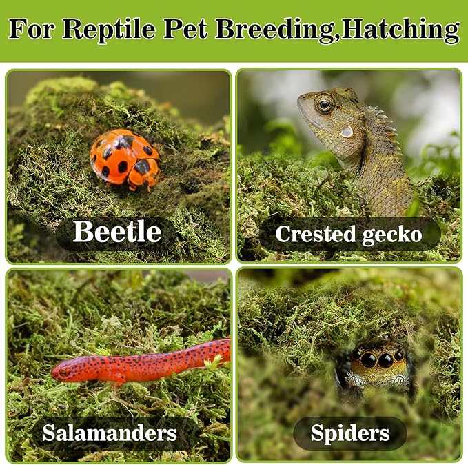 Sukh Sphagnum Moss for Reptiles - Terrarium Reptiles Moss Green Dried Peat Moss Habitat Bedding Moss for Snakes Turtle Frog Gecko and Other Reptiles Substrate (15.8, Ounces)