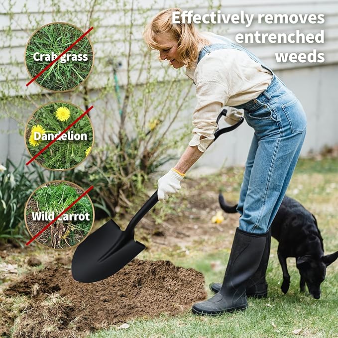 KOLEIYA 41 Inch Round Point Shovel for Digging,Heavy Duty Garden Shovel with D-Handle,Wooden Handle,Ideal for Gardening,Landscaping,Beach,and Snow Removal