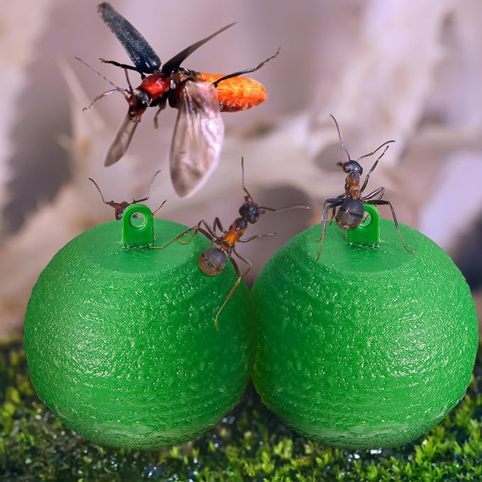 Qualirey 10 Pcs Sticky Fruit Fly Trap Ball Adhesive Fly Catching Ball Sticky Glue Fly Gnat Wasp Hornet Mosquito Bugs Flying Insects Trap Ball Traps (Green)